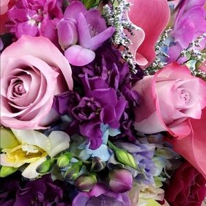 Meet your Posher, Nicole